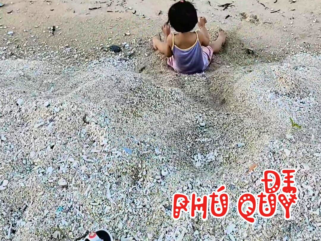 Aiiii Phú Quý Combo trượt cát + tâm biển inbox nha, Đi Phú Quý