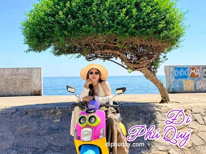 CẦN GÌ MÁY XỊN KHI BACKGROUND ĐÃ LÀ PHÚ QUÝ, Đi Phú Quý