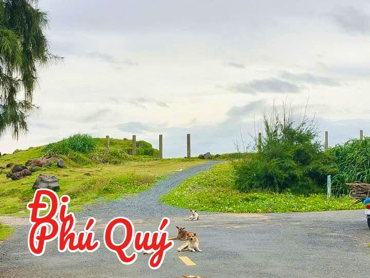 Cảnh báo: đường ra Gành Hang có chướng ngại vật dễ thương, Đi Phú Quý