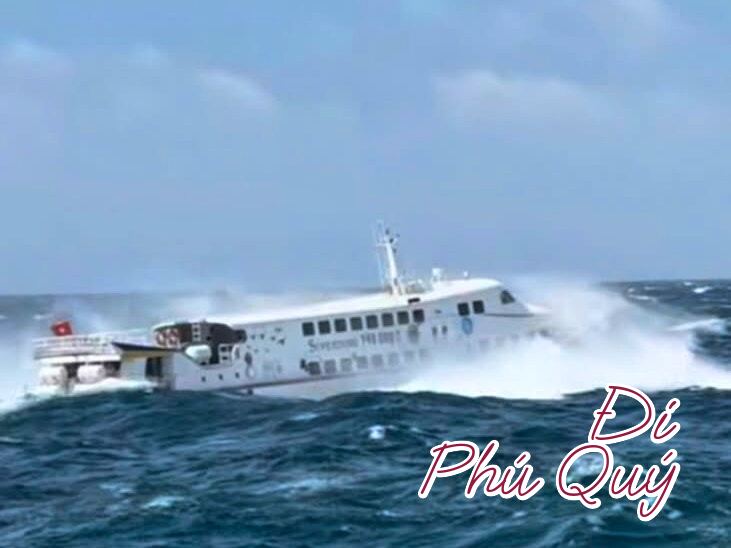 Cập nhật lịch hoạt động tuyến Phan Thiết Phú Quý (2324/11/2025). Tàu Superdong vẫn, Đi Phú Quý