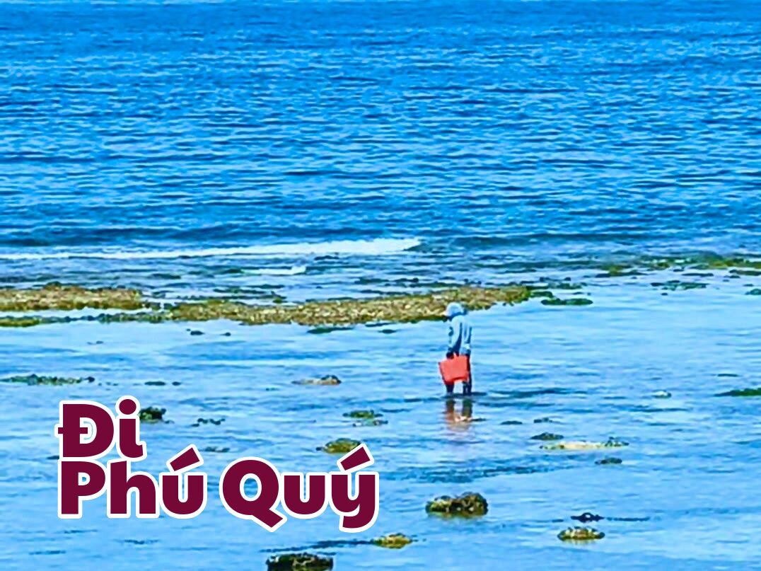 Chuẩn bị nước cạn sáng rồi. Kiếm ống đi câu mực Đùm, Đi Phú Quý