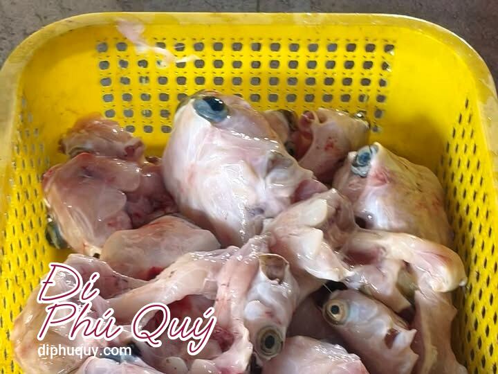 Đây là con cá nóc gai sau khi đã được làm sạch hoàn toàn. Nhiều người nghĩ phần thịt, Đi Phú Quý