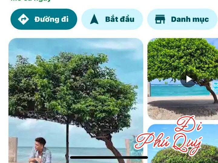 Đây là địa điểm check-in Hot được thay đổi tên trên Maps nhiều nhất tôi từng thấy, Đi Phú Quý