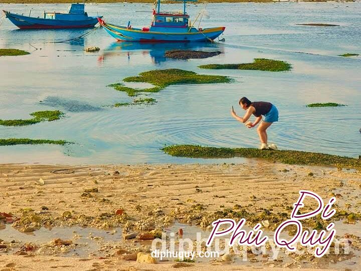 Đừng chỉ ngắm Phú Quý khi sóng vỗ xô bờ, Đi Phú Quý