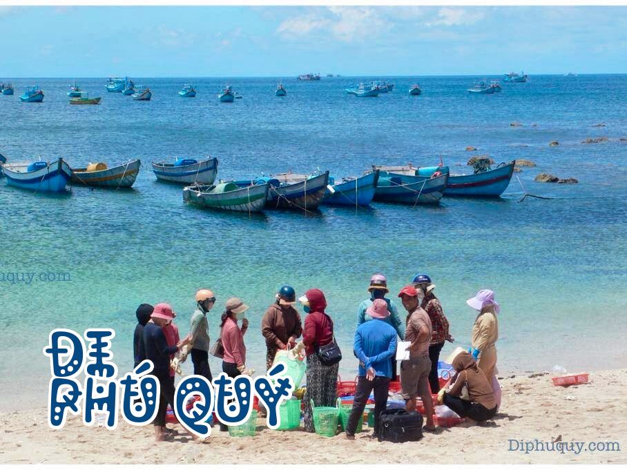 Gió Mặn Phú Quý - Gió không có họ, Đi Phú Quý