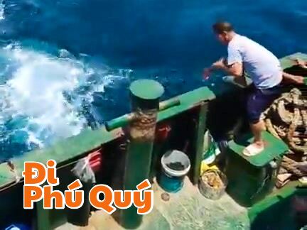 Kéo cá gần Phú Quý, kéo luôn cả ký ức trở về, Đi Phú Quý