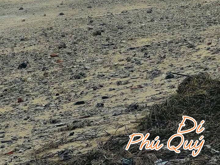 Khi tối sóng lớn, đưa cả vụn san hô ngoài gò vào đầy bãi, sáng ra thấy lạ lắm, Đi Phú Quý