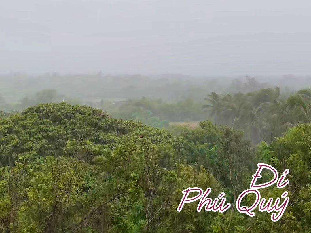 Nay đi lãnh tiền thưởng Tết độc lập, mà mưa quá mua từ sớm tới giờ, Đi Phú Quý