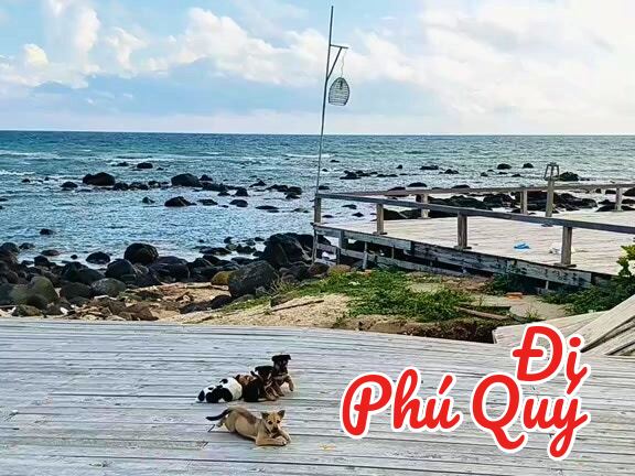 Nhà không giàu, chỉ được cái đông dân, Đi Phú Quý