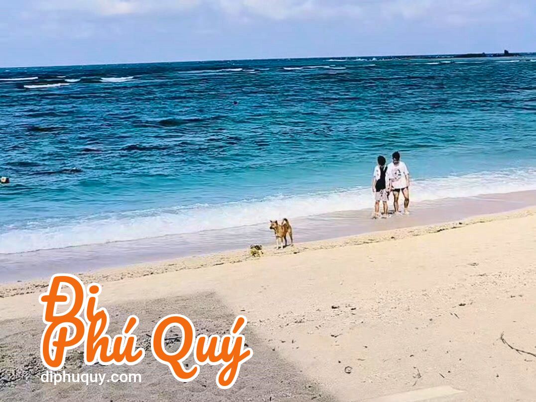 Nhìn biển chill vậy thôi chứ xuống nước là tỉnh liền nha  LẠNH lắm, Đi Phú Quý