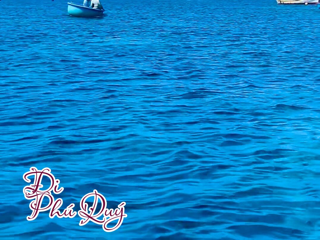 Nhìn người ta chèo thấy nhẹ nhàng, tới lượt mình toàn quay vòng vòng, Đi Phú Quý