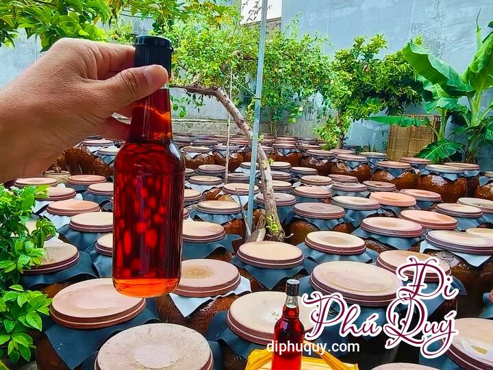 Nước Mắm Sạch Đảo Phú Quý  Gói Ghém Vị Biển Trong Từng Giọt Nồng, Đi Phú Quý