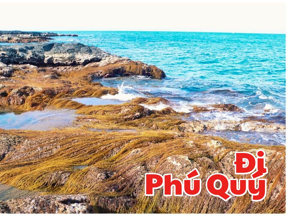 Phú Quý, nơi rong nằm mơ giữa sóng, Đi Phú Quý