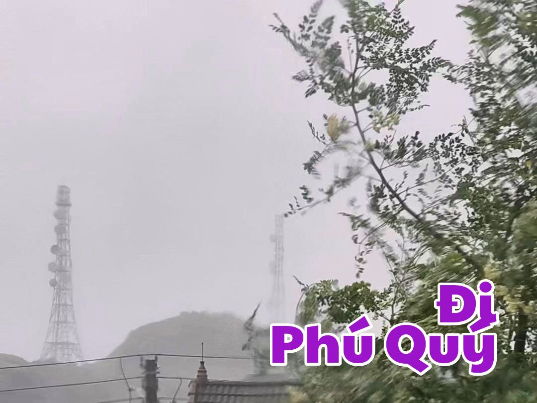 Phú Quý sáng hôm nay: mưa, Đi Phú Quý