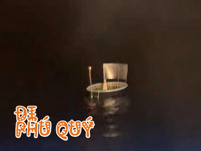 Sự Thật Về Nghề Câu Mực Xà, Đi Phú Quý