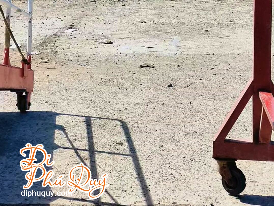 Tàu Superdong cập nhật lịch tàu tháng 03/2026, Đi Phú Quý