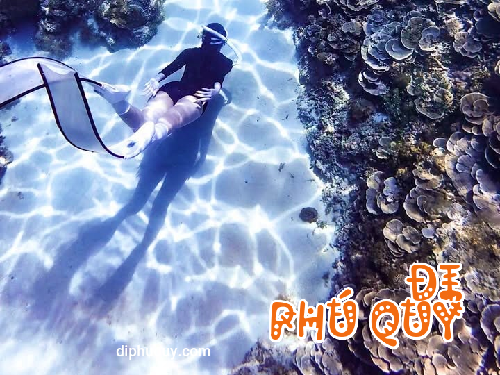 THÔNG BÁO KHẨN: TẠM NGƯNG HOẠT ĐỘNG LẶN BIỂN VUI CHƠI DƯỚI NƯỚC (20/4 - 21/4), Đi Phú Quý