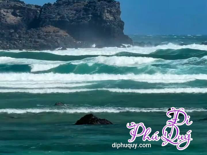 THÔNG BÁO  TÀU PHÚ QUÝ EXPRESS TẠM NGƯNG VẬN HÀNH, Đi Phú Quý