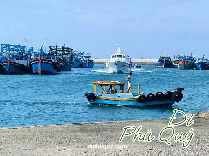 THÔNG BÁO TÀU SUPERDONG  NGÀY 10/02, Đi Phú Quý