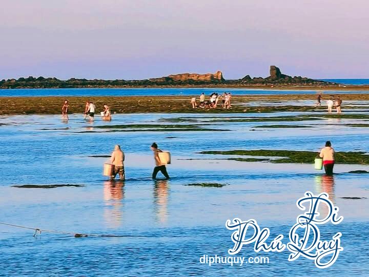 Triều cạn, Đi Phú Quý