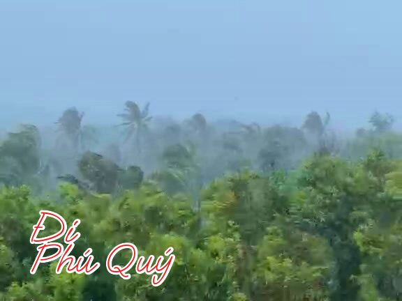 Trời đang nắng đẹp đùng cái mưa ớn luôn, không biết khi nào sửng mưa đây. Trông mưa, Đi Phú Quý