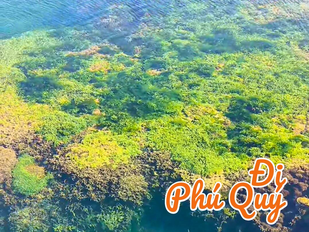 Trong như pha lê, Đi Phú Quý