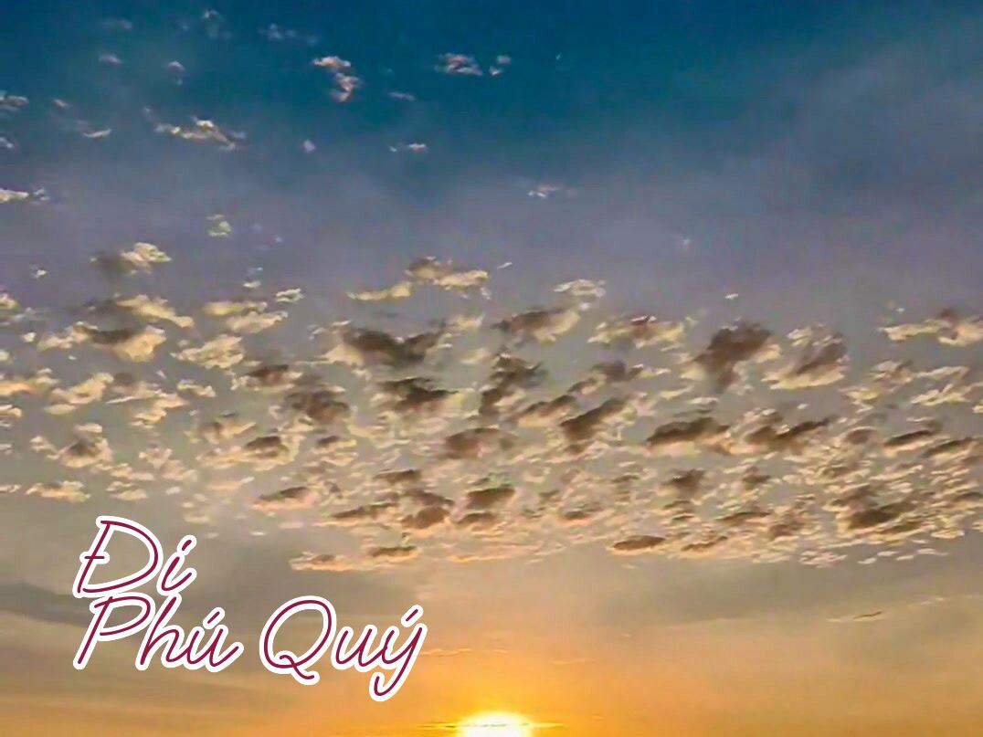 Vitamin D + vitamin Sea, Đi Phú Quý